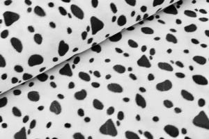 Velboa Dalmatiër