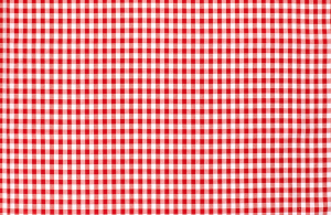 Ruitjes Katoen Groot Rood