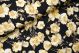 Harper Flower Viscose Navy
